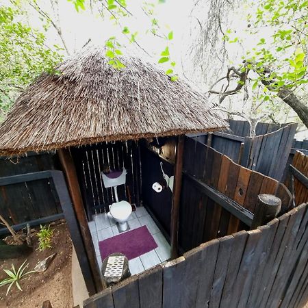 Off Beat Safaris Bush Lodge Hoedspruit Eksteriør bilde