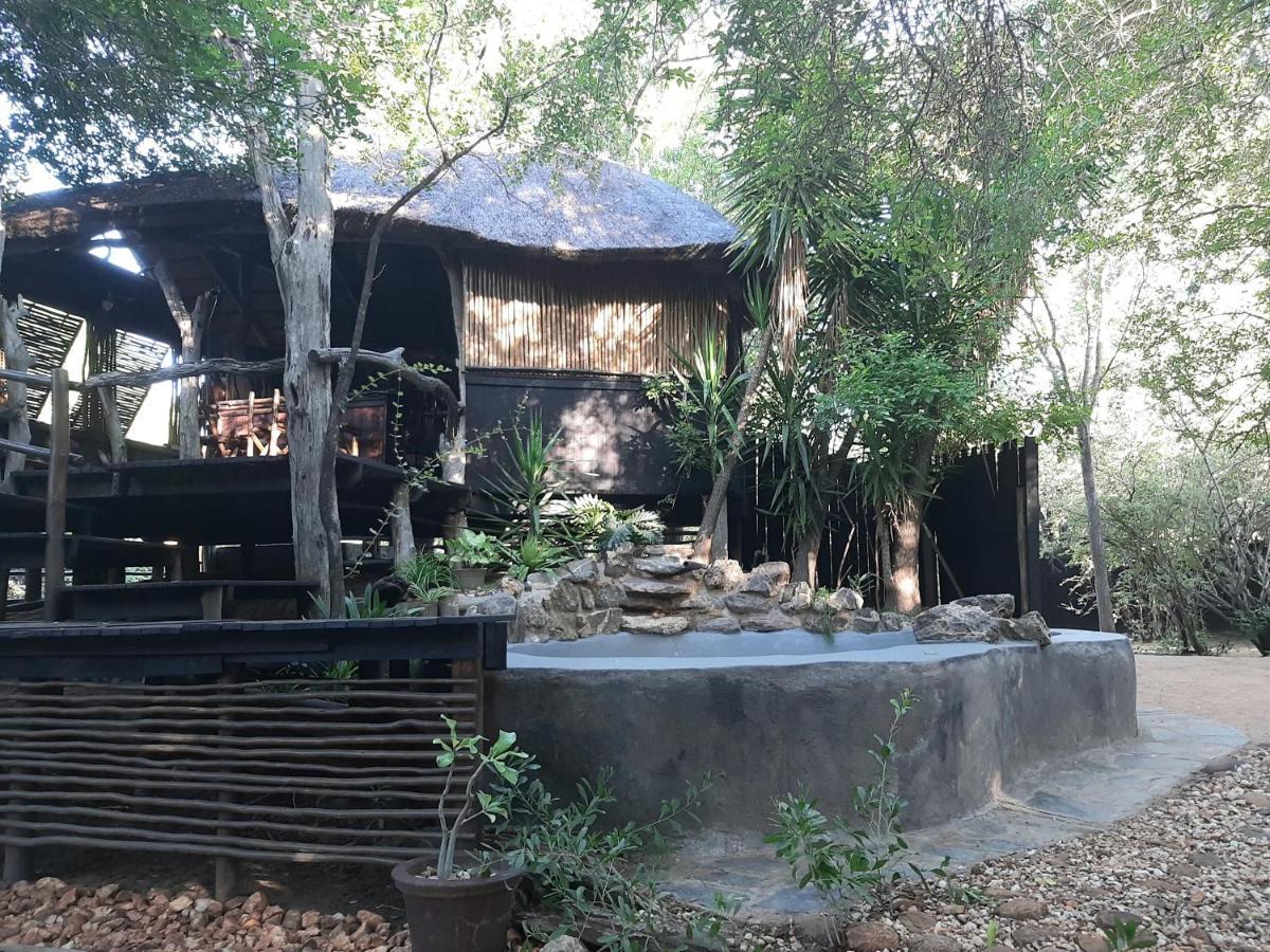 Off Beat Safaris Bush Lodge Hoedspruit Eksteriør bilde