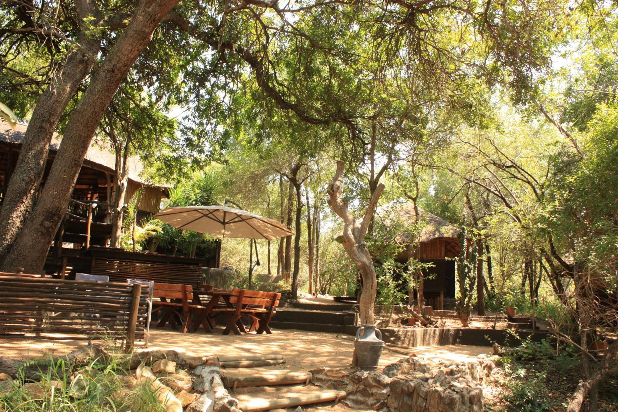 Off Beat Safaris Bush Lodge Hoedspruit Eksteriør bilde