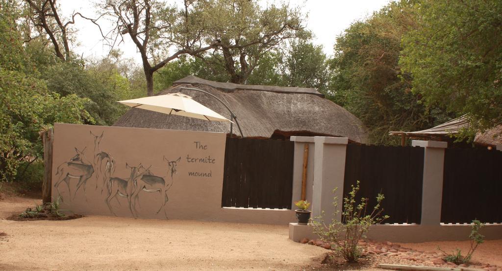 Off Beat Safaris Bush Lodge Hoedspruit Eksteriør bilde