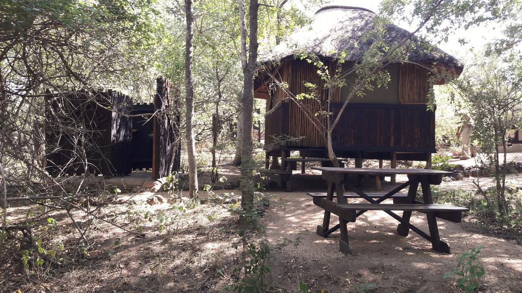 Off Beat Safaris Bush Lodge Hoedspruit Eksteriør bilde