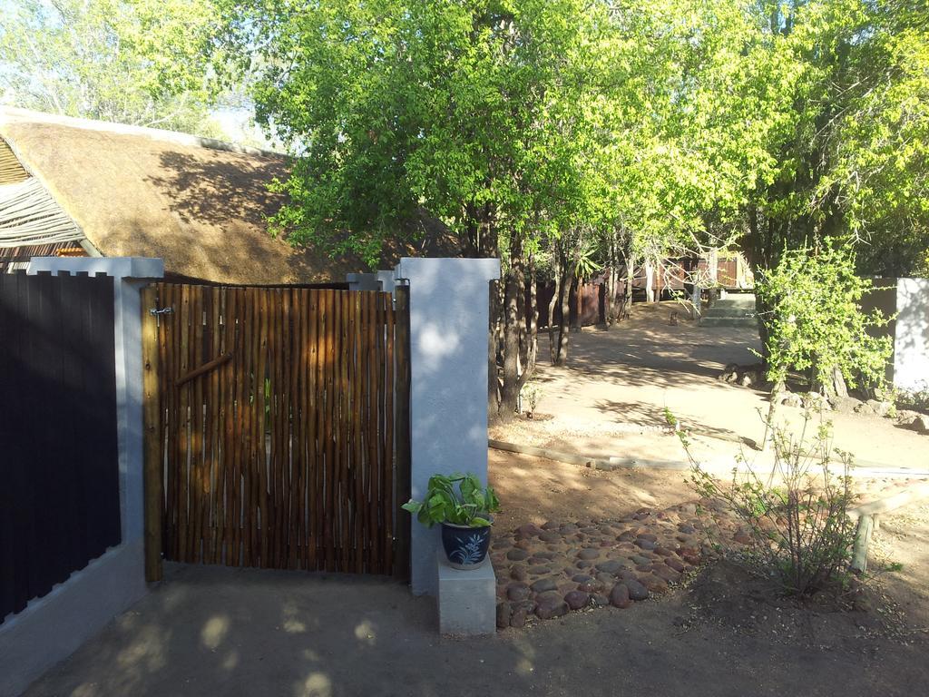 Off Beat Safaris Bush Lodge Hoedspruit Eksteriør bilde