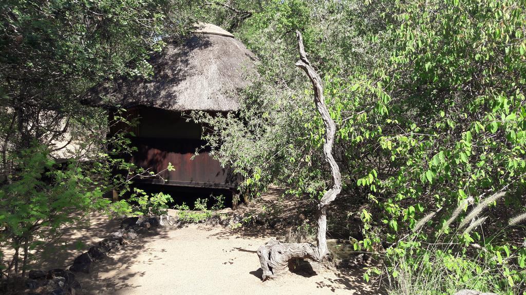 Off Beat Safaris Bush Lodge Hoedspruit Eksteriør bilde