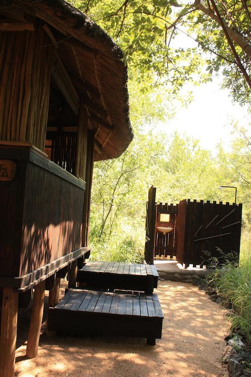 Off Beat Safaris Bush Lodge Hoedspruit Rom bilde