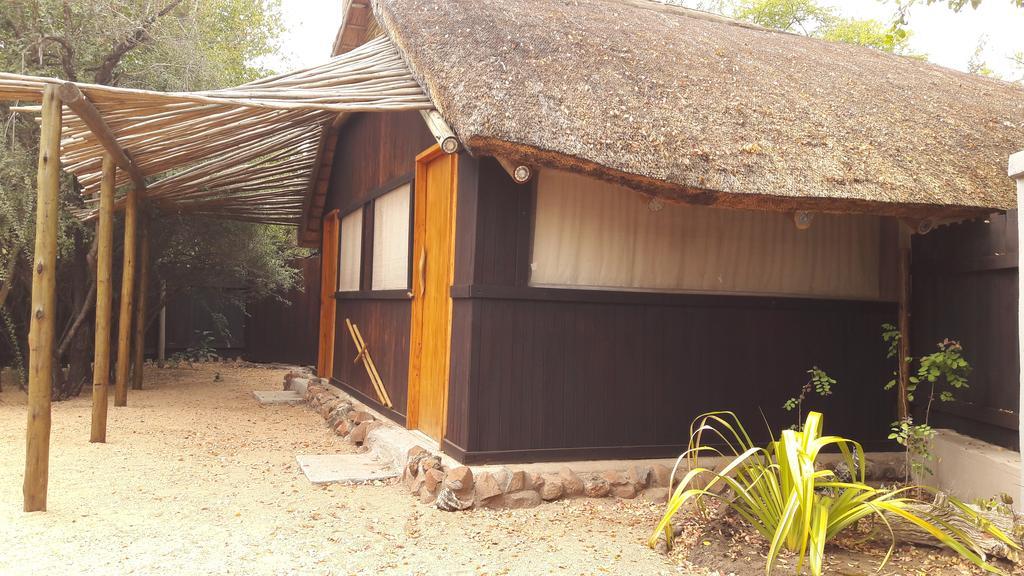 Off Beat Safaris Bush Lodge Hoedspruit Eksteriør bilde