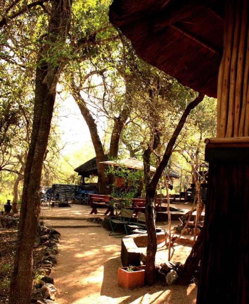 Off Beat Safaris Bush Lodge Hoedspruit Eksteriør bilde