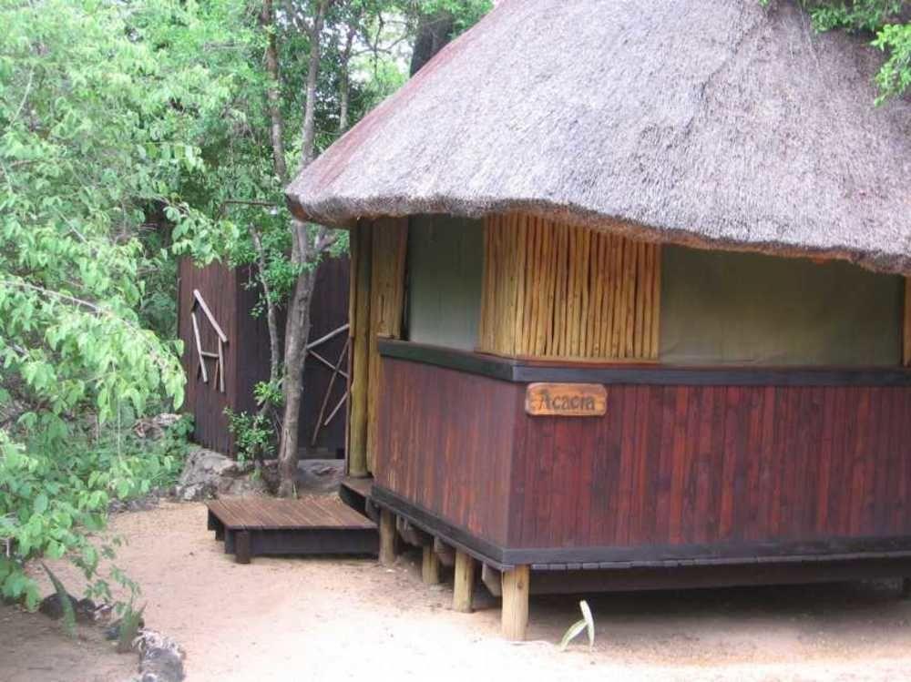 Off Beat Safaris Bush Lodge Hoedspruit Eksteriør bilde