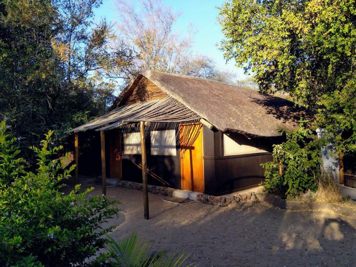 Off Beat Safaris Bush Lodge Hoedspruit Eksteriør bilde