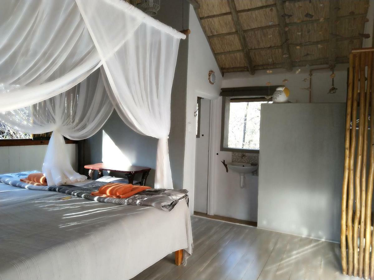 Off Beat Safaris Bush Lodge Hoedspruit Eksteriør bilde