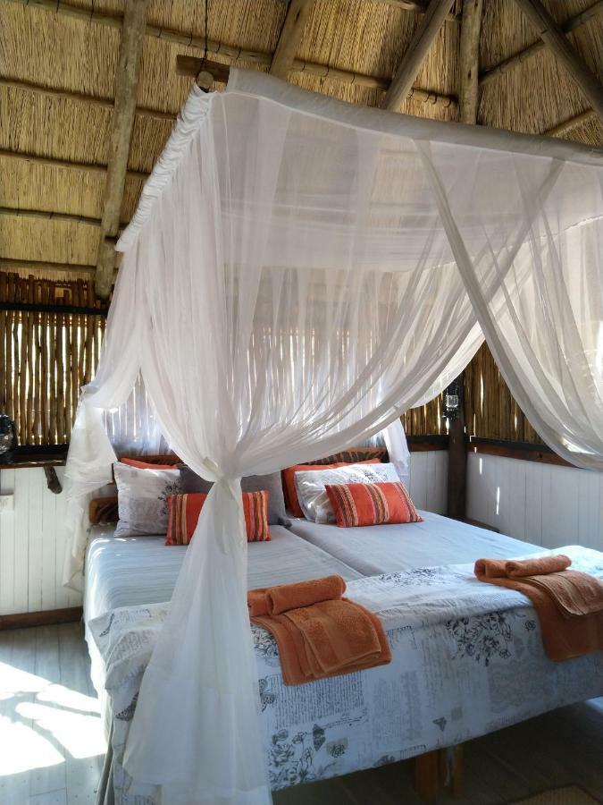 Off Beat Safaris Bush Lodge Hoedspruit Eksteriør bilde