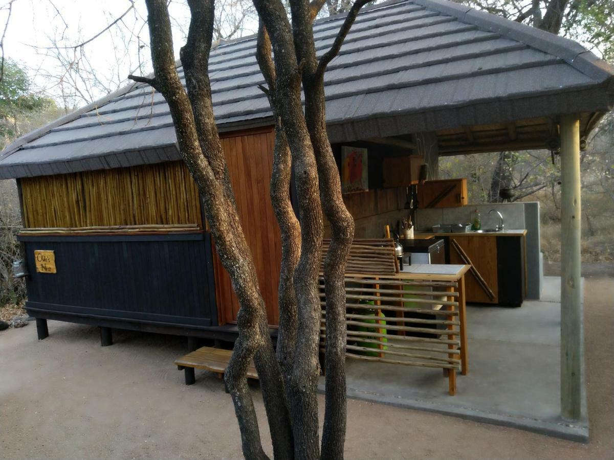 Off Beat Safaris Bush Lodge Hoedspruit Eksteriør bilde