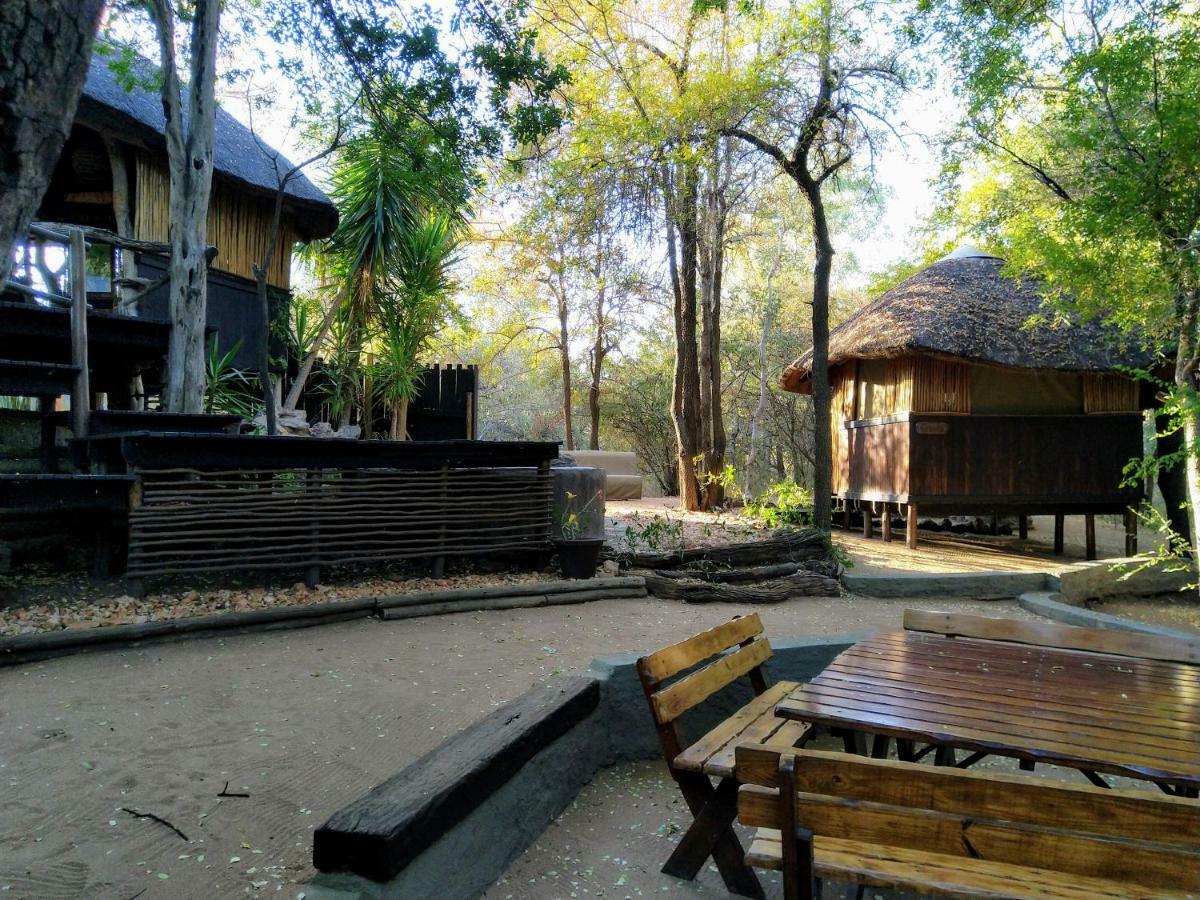 Off Beat Safaris Bush Lodge Hoedspruit Eksteriør bilde