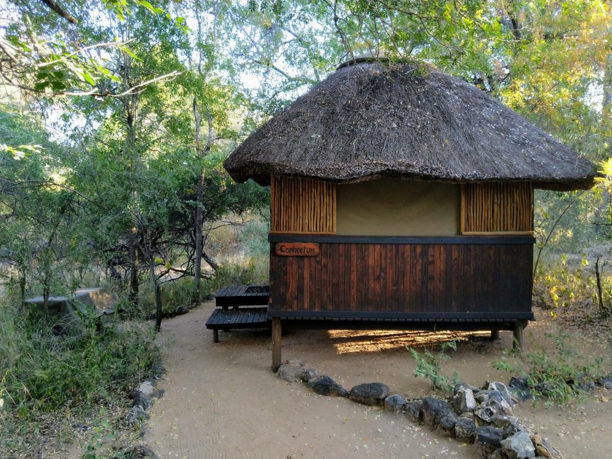 Off Beat Safaris Bush Lodge Hoedspruit Eksteriør bilde