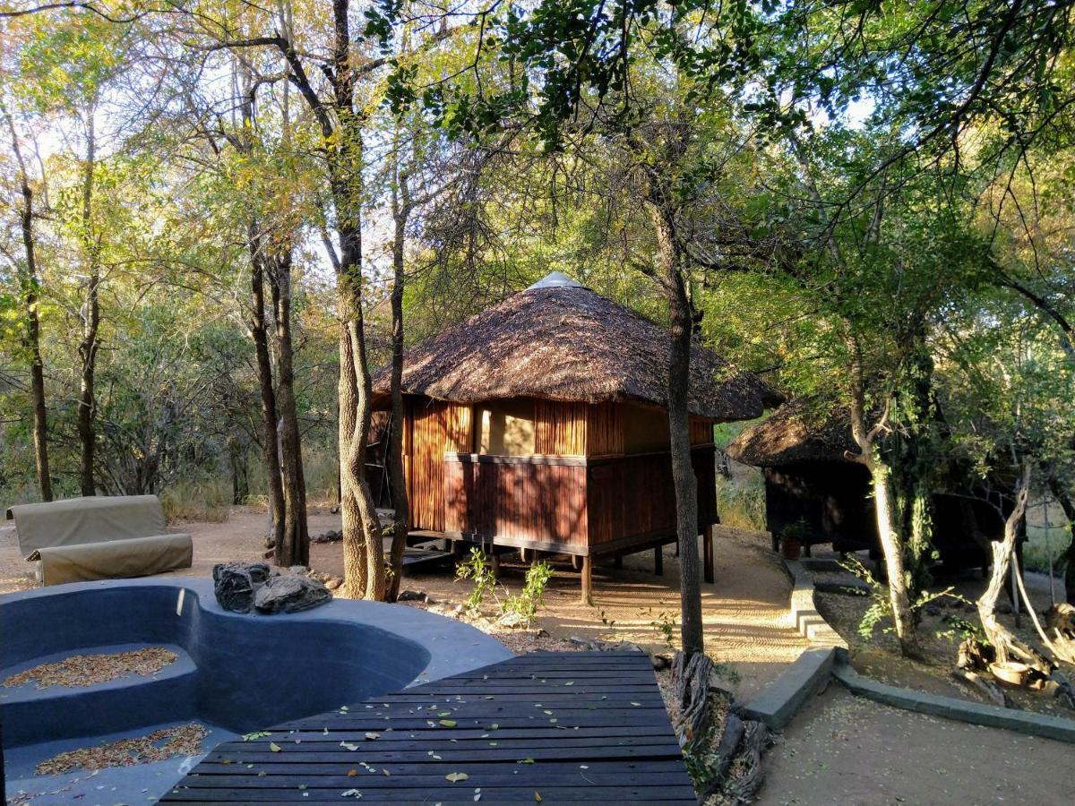 Off Beat Safaris Bush Lodge Hoedspruit Eksteriør bilde