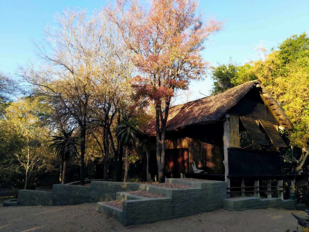 Off Beat Safaris Bush Lodge Hoedspruit Eksteriør bilde