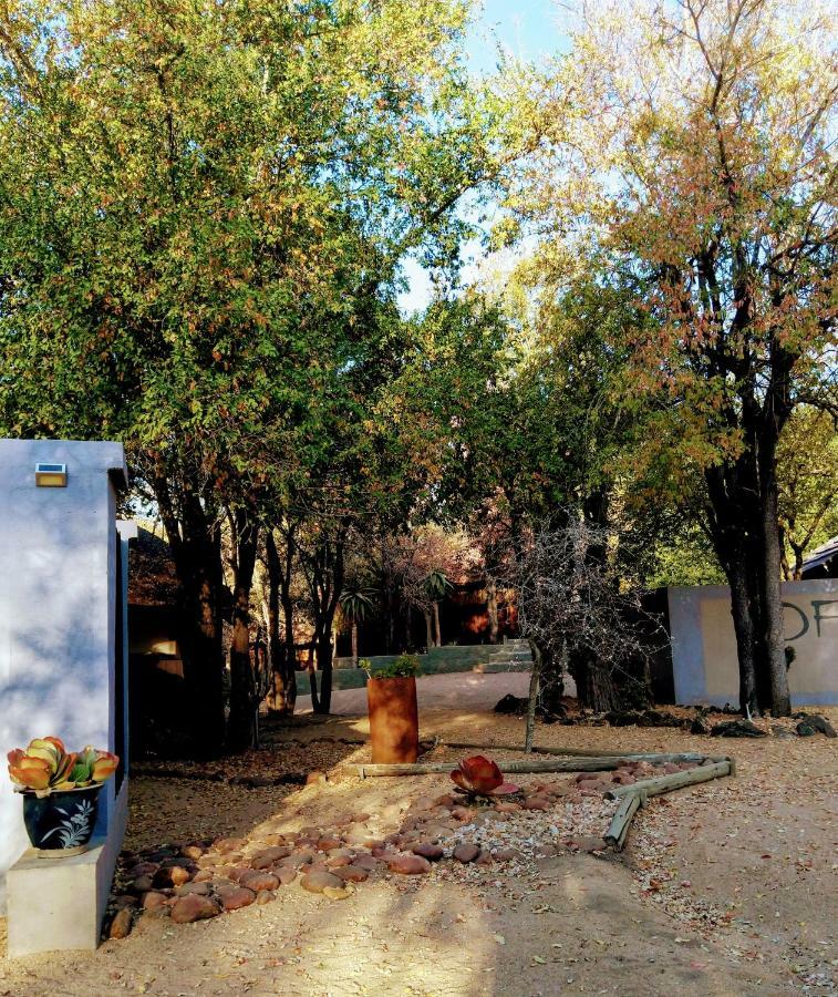 Off Beat Safaris Bush Lodge Hoedspruit Eksteriør bilde