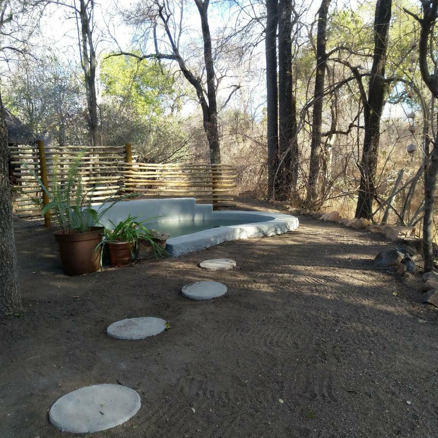 Off Beat Safaris Bush Lodge Hoedspruit Eksteriør bilde
