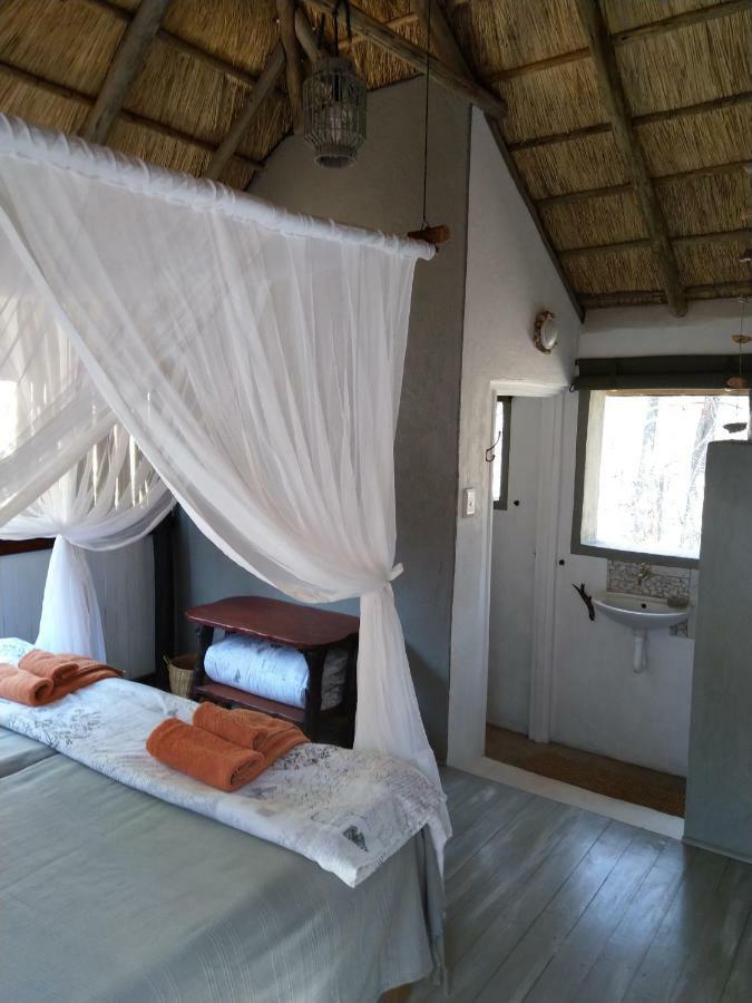 Off Beat Safaris Bush Lodge Hoedspruit Eksteriør bilde